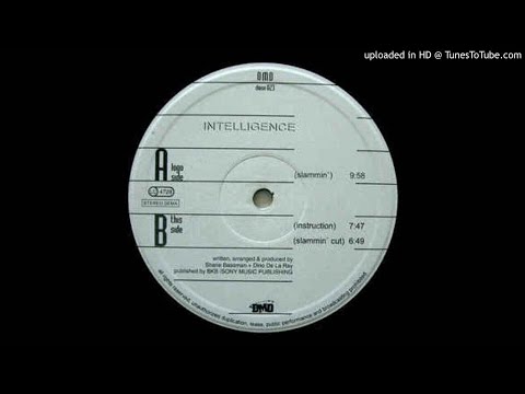 Bassman/ De La Ray - Intelligence (slammin')