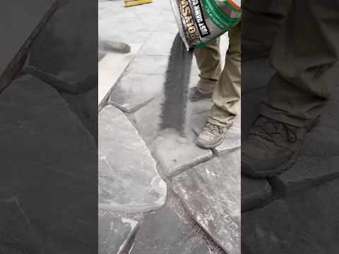 What do I put in between flagstone joints? #landscaping #hardscaping #hardscapetraining