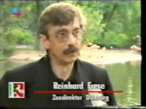 Tierrechte - Tierschutz  SAT1 - Regional Report - Delfinarien