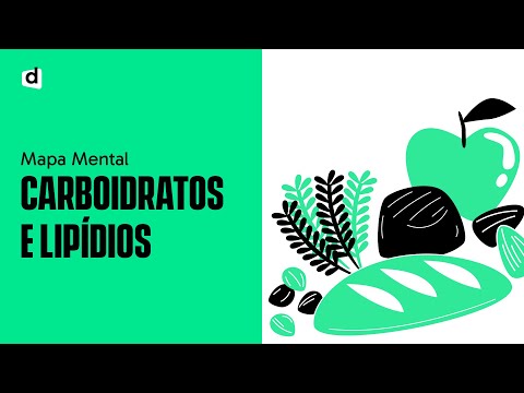 CARBOIDRATOS E LIPÍDOS: PRA QUE SERVEM? | QUER QUE DESENHE