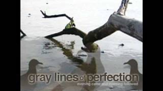 Gray Lines Of Perfection - On The Last Day