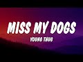 Young Thug Miss My Dogs Lyrics