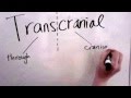 This is Your Brain on Magnets: Transcranial Magnetic ...