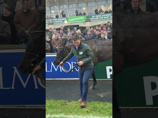 Thumbnail for Post ID: c6Hs7MmyjLo