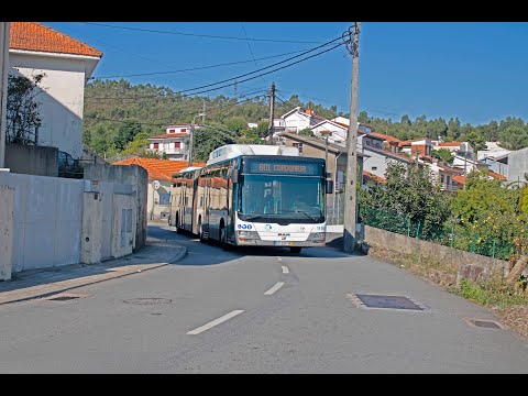 1114 STCP - MAN Lion's City G CNG (NG313) - Linha / Line 801