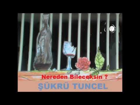 NEREDEN BİLECEKSİN ? - ŞÜKRÜ TUNCEL  ( OFFİCİAL AUDİO )