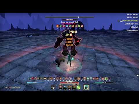 ESO - [Blackwood] 113.0k dps Stamina Warden XBOX  NA