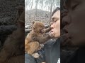 Cute Baby Monkey YoYo Monkey BiBi Monkey Monkey Banana Baby Monkey Best Monkey Moments