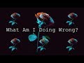 Clasio x Rosenfeld  - What Am I Doing Wrong (lyric video)