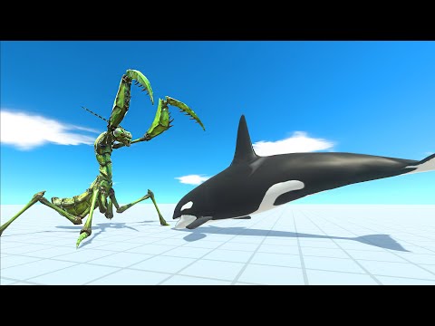 AQUATICS vs GIANT INVERTEBRATES - Animal Revolt Battle Simulator ARBS