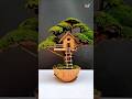 Building a Fairy Garden Treehouse Terrarium #shorts