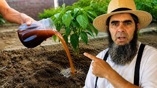 Say Goodbye to Expensive Fertilizers: This AMISH Trick Will Blow Your Mind