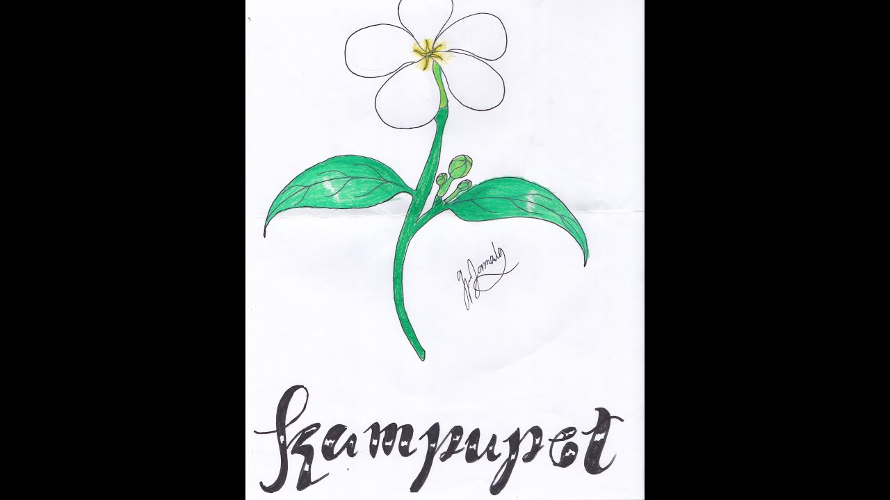 Bulaklak ng Lahing Kalinis-linisan nina JOse Corazon de Jesus at Florentino Collantes |Balagtasan