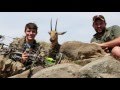 Vaal Rhebok Walk And Stalk Bowhunt