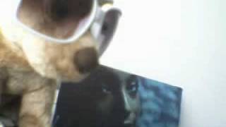 Sade, FEAR and Dj Pookie doin it