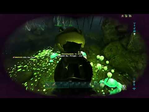 ARK Adventure: Valguero EP#35 - with @spottedzebra91