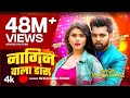 Video Nagin Wala Dance Neelkamal Singh नागिन वाला डांस नीलकमल 