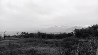 Download lagu Story wa ((pagi telah pergi mp3