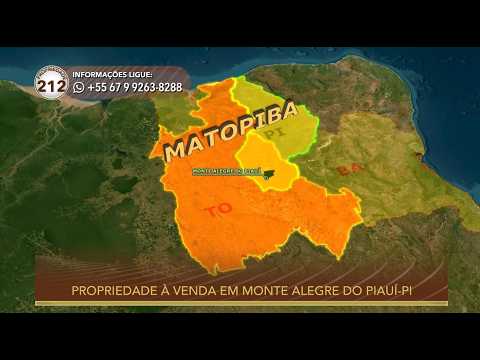 Terralmo 212: Fazenda à venda em Monte Alegre do Piauí/PI