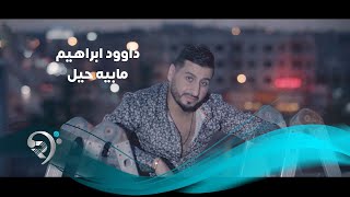 كلمات اغنية مابيه حيل داوود ابراهيم