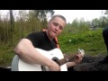 7Б - Молодые ветра (cover) 