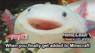 Minecraft Live 2020 Memes (Caves & Cliffs Update)