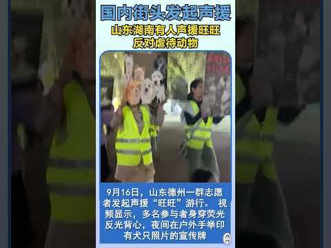 Domestic streets launch solidarity protests against animal abuse