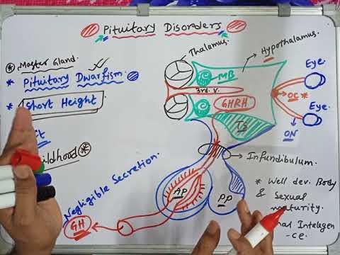 Pituitary Dwarfism, Easiest for NEET, Cream Layers of NCERT