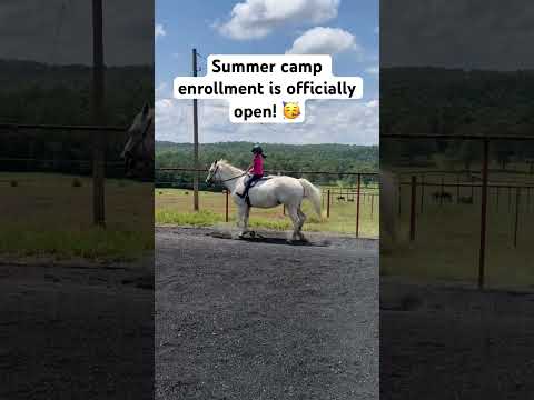 Summer camp registration is open!