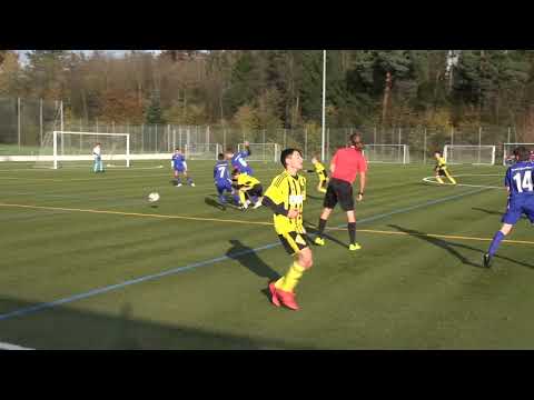 1/3 MS Team Basel OB FE14 - Zug 94-Team Zugerland 16.11.2019