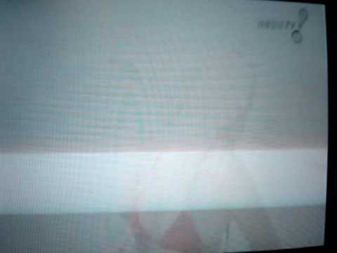 Ísis Bataglia - ô ô ô -  Amaury Jr. - Angra dos Reis