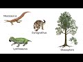 THE CONTINENTAL DRIFT THEORY EVIDENCES AND EXAMPLES