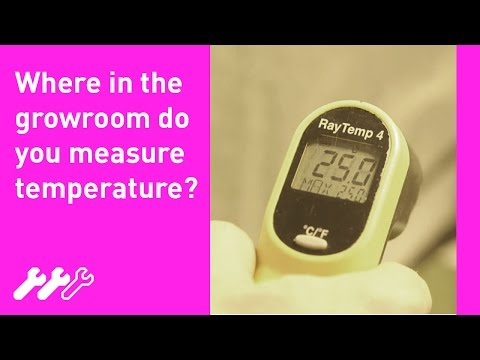 #27 - How to measure hydroponic grow room temperature with Greenfinger Hydroponics