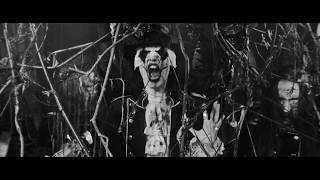 Avatar - King&#39;s Harvest (Official Music Video)