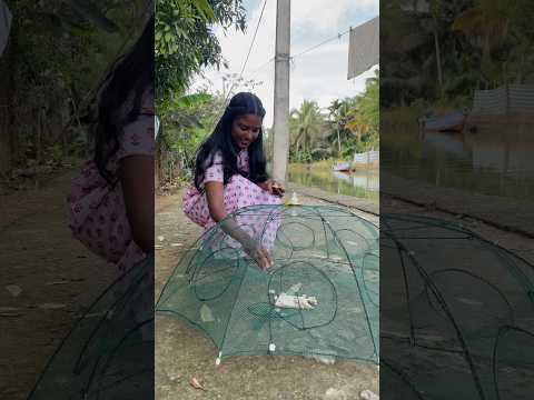 ഇത്രേം മീൻ പ്രതീക്ഷിച്ചില്ല 😱ARCHANA DEV #shorts #viral #trending #archanadev #art #youtubeshorts
