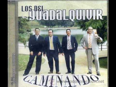 download lagu mp3 mp4 Búcaro, download lagu Búcaro gratis, unduh video klip Búcaro