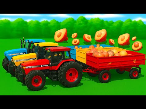 Mushroom Mayhem?! Case Tractors Haul Chaos While Beets Get Harvested in FS25!