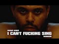 The Weeknd I Can T F Cking Sing Music Video Fanmade