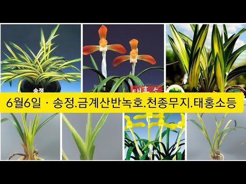 유튜브 썸네일