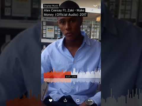 Alex Ceesay - Make Money Ft: zaki (2018 Ny)