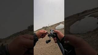 Download lagu STRIKE IKAN ULIN BESAR! SENAR PANEN 🎣 #memancing #baitcasting #pemancing #ikanular #umpan #ikanbesar #strike mp3 Download lagu STRIKE IKAN ULIN BESAR! SENAR PANEN 🎣 #memancing #baitcasting #pemancing #ikanular #umpan #ikanbesar #strike mp3