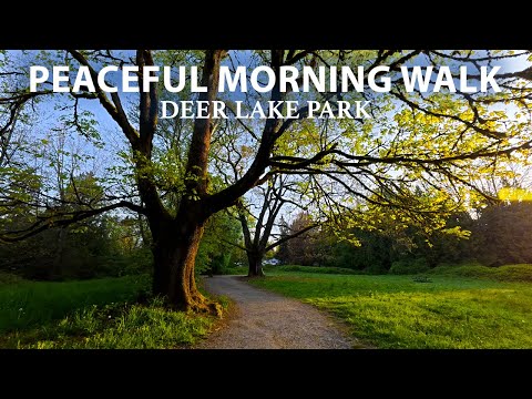 Peaceful Early Morning Spring Walk at Deer Lake | Clear Skies & Birds Singing 🌞🌿, Burnaby BC Canada