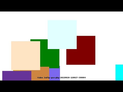 Video #sftp-gcs-pkg-20220828-120027-398004