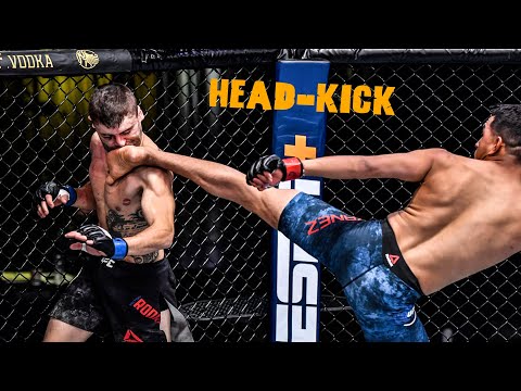 THE MOST BRUTAL HEAD KICK KNOCKOUTS IN MMA