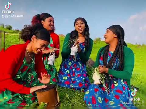 shinooye oromian culture