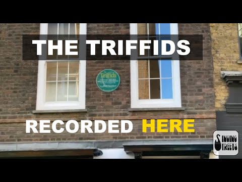 Where Aussie legends The Triffids recorded 'Born Sandy Devotional' in London