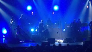 David Gray: end of the song, Birds of the High Arctic