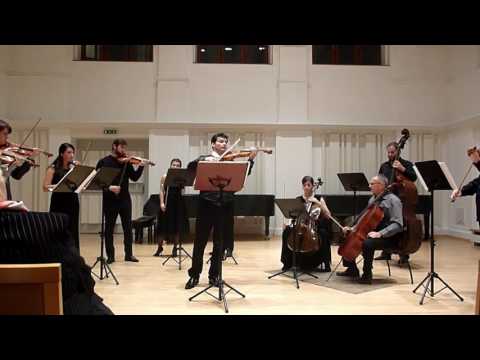 Iris Szeghy: Musica Dolorosa, ZOE chamber orchestra, Radim Kresta