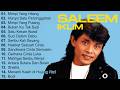 Full Album Saleem Iklim Lagu Malaysia Lama Populer