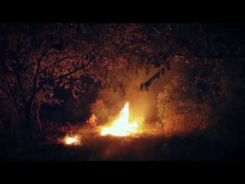 Meiram The Fireline Trailer